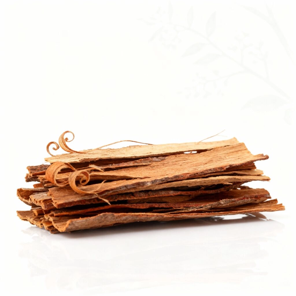Brazilian Catuaba bark — natural CNS stimulant in Giant Max for blood circulation to erectile tissue and performance duration