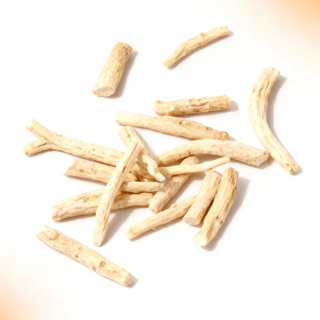 Ashwagandha dried root extract — Ayurvedic adaptogen in Giant Max for cortisol reduction, testosterone increase, and performance anxiety elimination